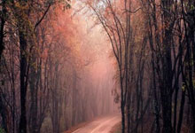 找新闻好辛苦,您还可以按兴趣分类浏览哦.