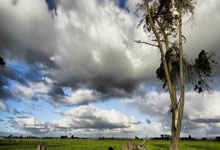 [英超]福登上演“帽子戏法” 曼城大胜阿斯顿维拉.