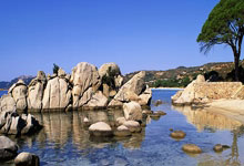 加时赛淘汰科隆 莱沃库森惊险晋级德杯半决赛.